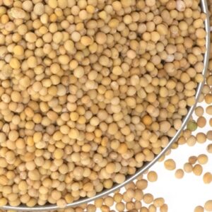 Yellow Mustard Seeds