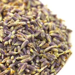 Culinary Lavender